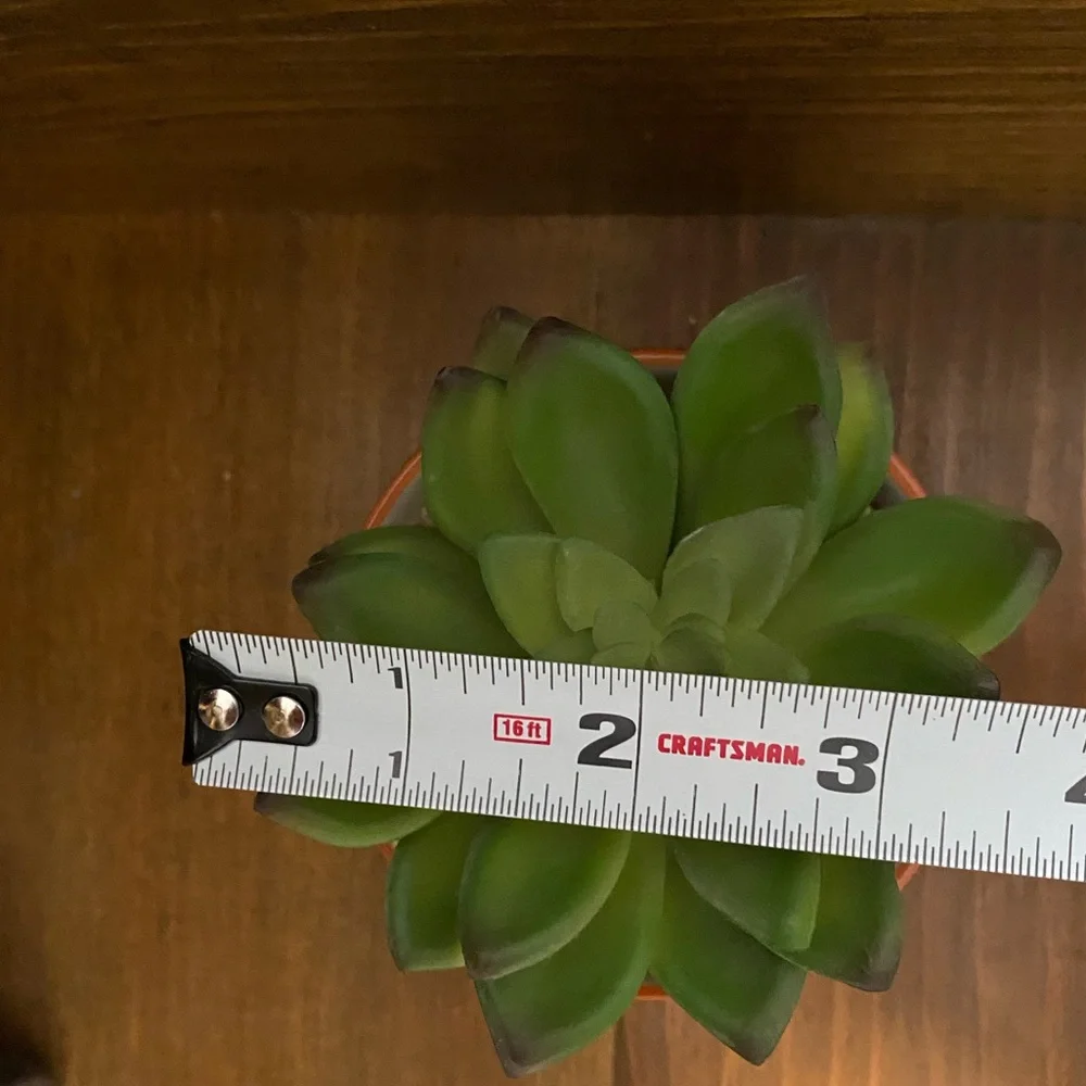 N/A faux succulent
